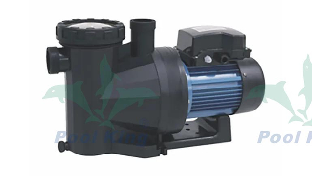 Pompe per piscine termali serie PU